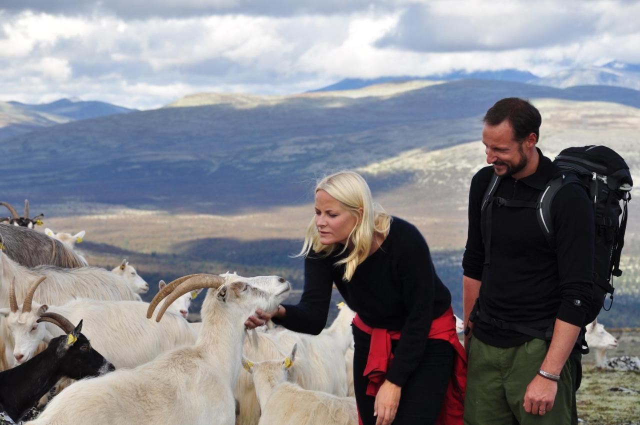 Rondane River Lodge - Rondane Gjestegard Enden Luaran gambar