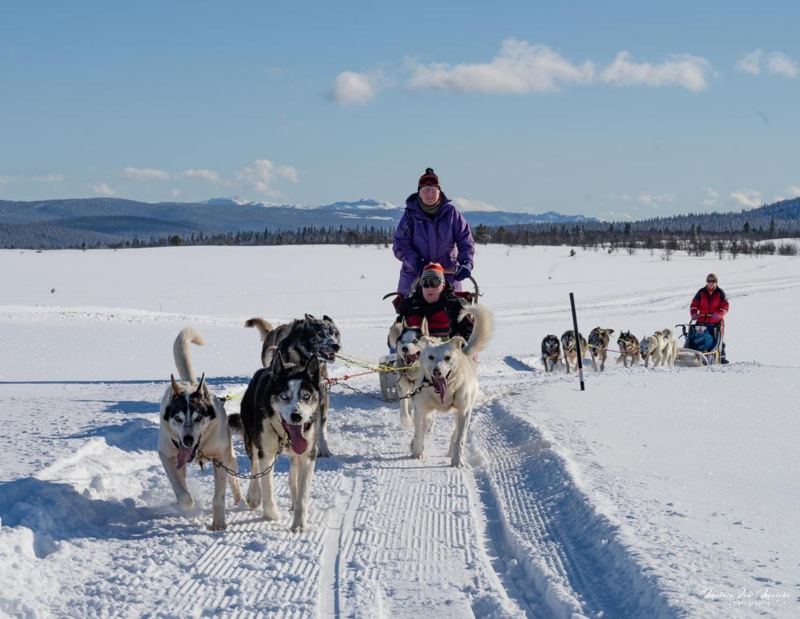 Rondane River Lodge - Rondane Gjestegard Enden Luaran gambar